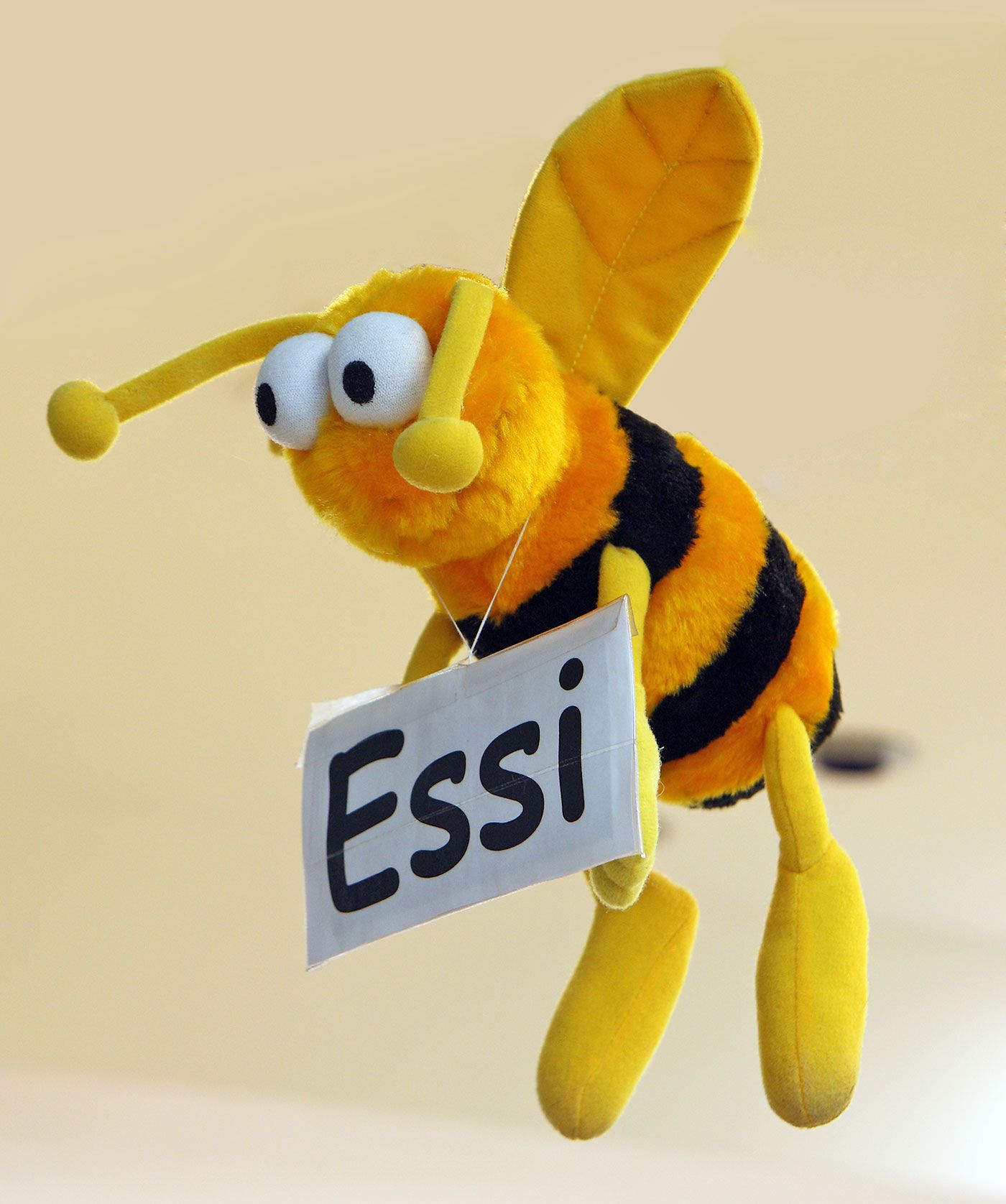 Apothekenmaskotchen Essi. Eine Biene aus Plüsch, die ein Schild mit "Essi" in den Händen hält.